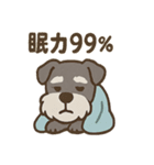 ねむねむシュナの無限ぬくぬくセット（個別スタンプ：24）