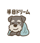 ねむねむシュナの無限ぬくぬくセット（個別スタンプ：26）