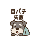 ねむねむシュナの無限ぬくぬくセット（個別スタンプ：30）
