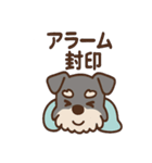 ねむねむシュナの無限ぬくぬくセット（個別スタンプ：34）
