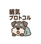 ねむねむシュナの無限ぬくぬくセット（個別スタンプ：35）