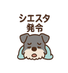 ねむねむシュナの無限ぬくぬくセット（個別スタンプ：38）
