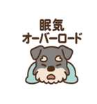 ねむねむシュナの無限ぬくぬくセット（個別スタンプ：39）