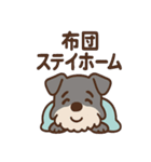 ねむねむシュナの無限ぬくぬくセット（個別スタンプ：40）
