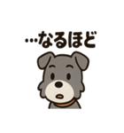 ひとりごとシュナ つぶやきパック（個別スタンプ：9）