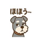 ひとりごとシュナ つぶやきパック（個別スタンプ：11）