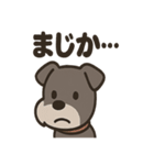 ひとりごとシュナ つぶやきパック（個別スタンプ：12）