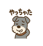 ひとりごとシュナ つぶやきパック（個別スタンプ：13）