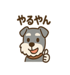 ひとりごとシュナ つぶやきパック（個別スタンプ：16）