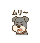 ひとりごとシュナ つぶやきパック（個別スタンプ：19）