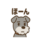 ひとりごとシュナ つぶやきパック（個別スタンプ：21）