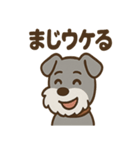 ひとりごとシュナ つぶやきパック（個別スタンプ：25）