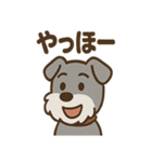 ひとりごとシュナ つぶやきパック（個別スタンプ：26）