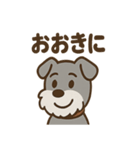 ひとりごとシュナ つぶやきパック（個別スタンプ：29）