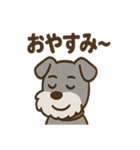 ひとりごとシュナ つぶやきパック（個別スタンプ：30）