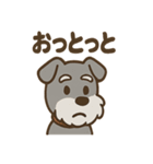 ひとりごとシュナ つぶやきパック（個別スタンプ：31）