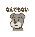 ひとりごとシュナ つぶやきパック（個別スタンプ：35）
