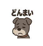 ひとりごとシュナ つぶやきパック（個別スタンプ：36）