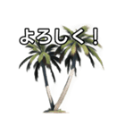 【おしゃべり用】ヤシの木（個別スタンプ：1）