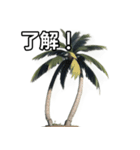 【おしゃべり用】ヤシの木（個別スタンプ：2）