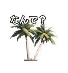 【おしゃべり用】ヤシの木（個別スタンプ：5）