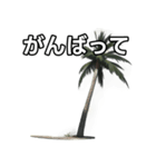 【おしゃべり用】ヤシの木（個別スタンプ：11）