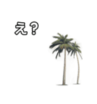 【おしゃべり用】ヤシの木（個別スタンプ：12）