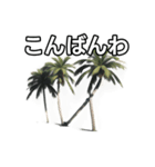 【おしゃべり用】ヤシの木（個別スタンプ：18）