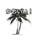 【おしゃべり用】ヤシの木（個別スタンプ：20）