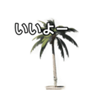 【おしゃべり用】ヤシの木（個別スタンプ：22）