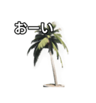 【おしゃべり用】ヤシの木（個別スタンプ：28）