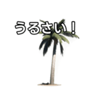 【おしゃべり用】ヤシの木（個別スタンプ：29）
