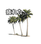 【おしゃべり用】ヤシの木（個別スタンプ：31）