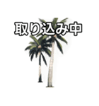 【おしゃべり用】ヤシの木（個別スタンプ：33）