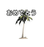 【おしゃべり用】ヤシの木（個別スタンプ：37）