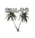 【おしゃべり用】ヤシの木（個別スタンプ：40）