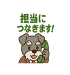 シュナの電話番（個別スタンプ：20）