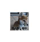 はなまるくーん（個別スタンプ：1）