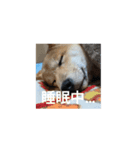 はなまるくーん（個別スタンプ：3）