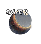 葉月ひまり（個別スタンプ：5）