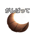 葉月ひまり（個別スタンプ：11）