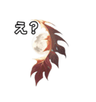 葉月ひまり（個別スタンプ：12）