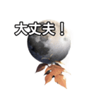 葉月ひまり（個別スタンプ：15）