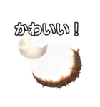 葉月ひまり（個別スタンプ：20）