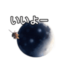 葉月ひまり（個別スタンプ：22）