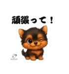 可愛い ヨークシャテリアのスタンプ（個別スタンプ：13）