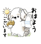 シーズー犬 2025 「天使ちゃん」（個別スタンプ：1）