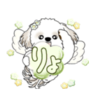 シーズー犬 2025 「天使ちゃん」（個別スタンプ：3）