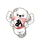 シーズー犬 2025 「天使ちゃん」（個別スタンプ：4）