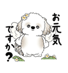 シーズー犬 2025 「天使ちゃん」（個別スタンプ：5）